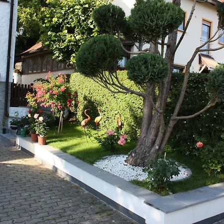 Ferienwohnung Im Gruenen غوسوينستين المظهر الخارجي الصورة