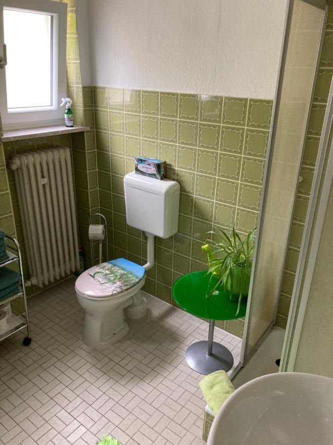 Ferienwohnung Im Gruenen غوسوينستين المظهر الخارجي الصورة