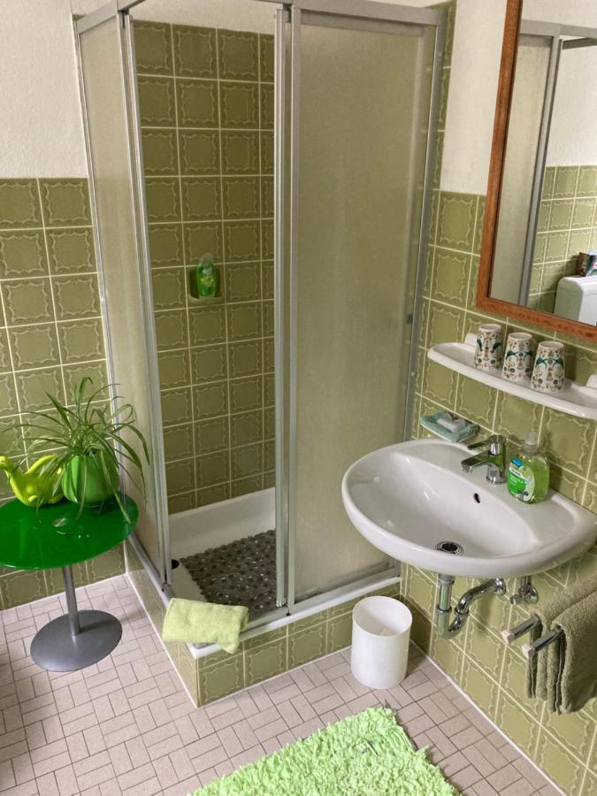 Ferienwohnung Im Gruenen غوسوينستين المظهر الخارجي الصورة
